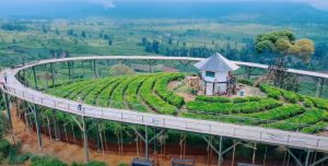 Jembatan Kaca Pangalengan