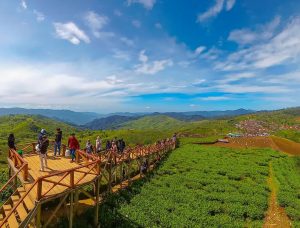 Camping di Taman Langit Pangalengan
